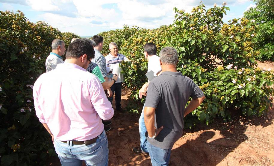 SUDIS em visita técnica na região de Paranacity.
