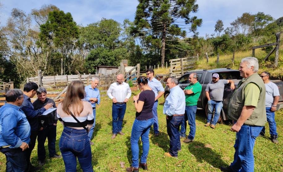 SUDIS participa do Grupo de Trabalho denominado de "GT-Pinhão".