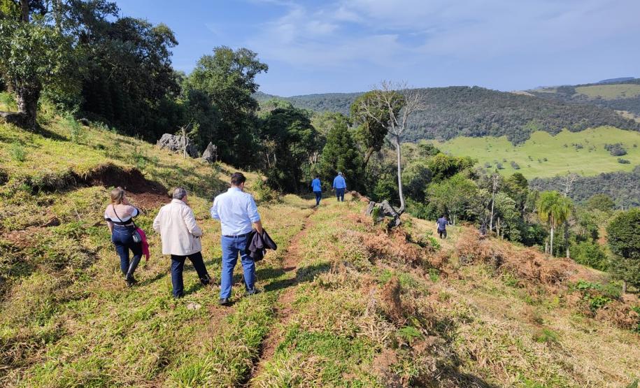 SUDIS participa do Grupo de Trabalho denominado de "GT-Pinhão".